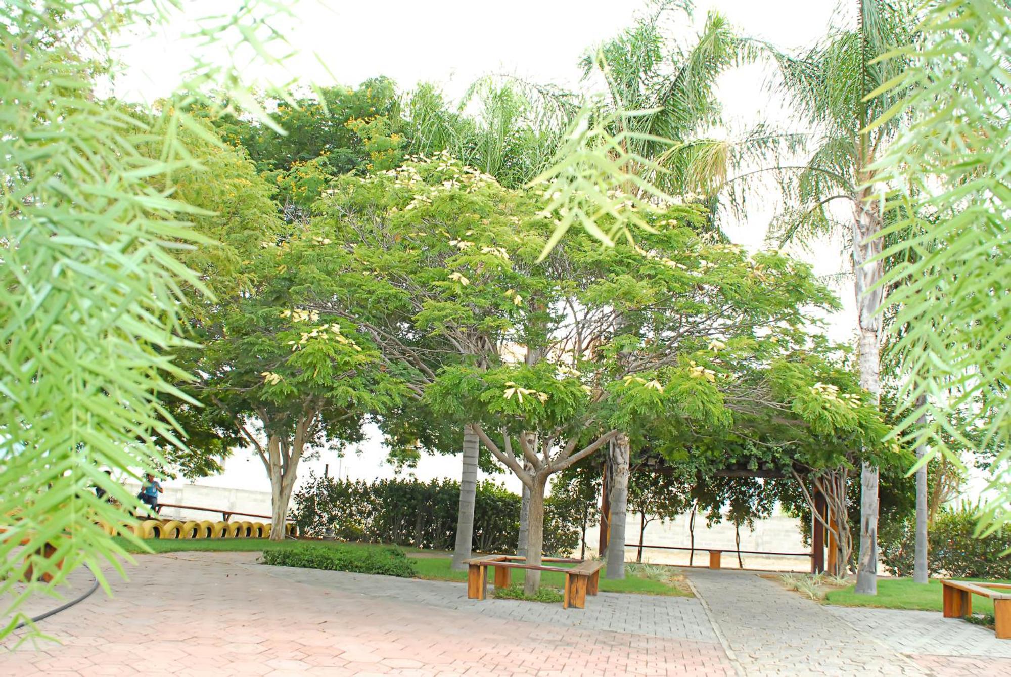 Hotel Flor Da Chapada Itaberaba Exteriör bild